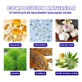 32x Patchs de Traitement Anti-Mycose pour Pieds