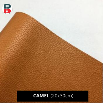 Camel