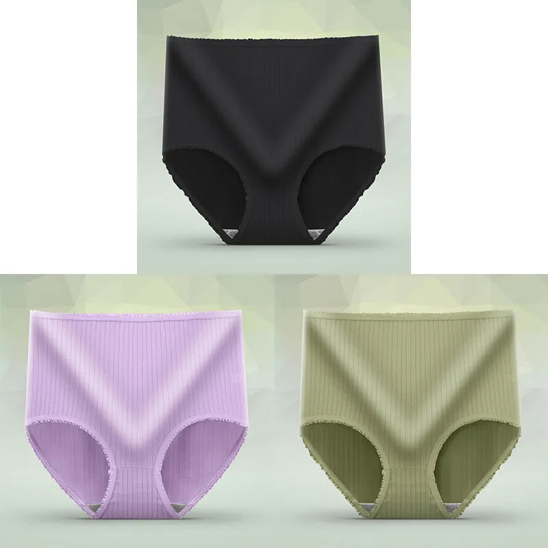 Lot de 3 Culottes Hautes 100% Coton