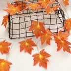 Guirlande lumineuse automnale - 2M, 3M ou 6M