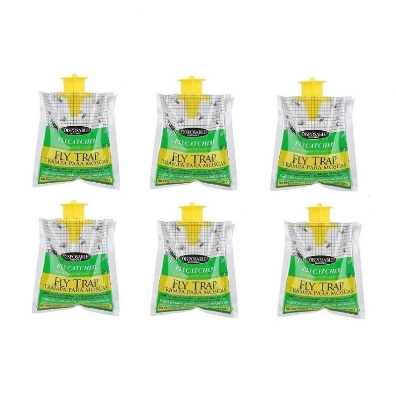 6x attrape-mouche jetable non toxique