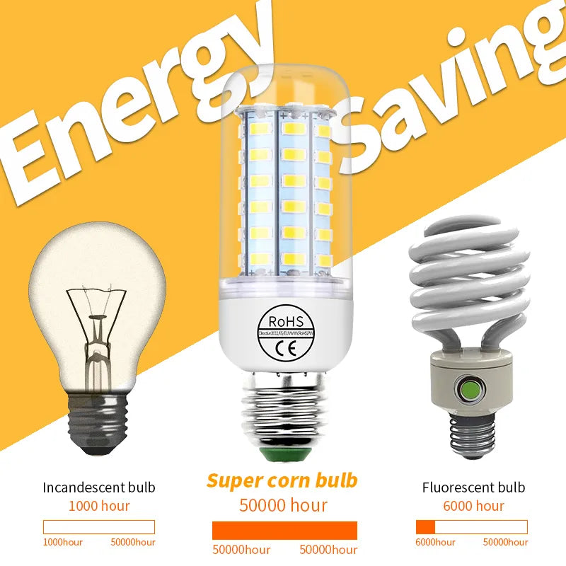 Lot de 4 Ampoules 72LED 5000h Super longue durée - Nouvelle génération