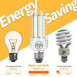 Lot de 4 Ampoules 72LED 5000h Super longue durée - Nouvelle génération