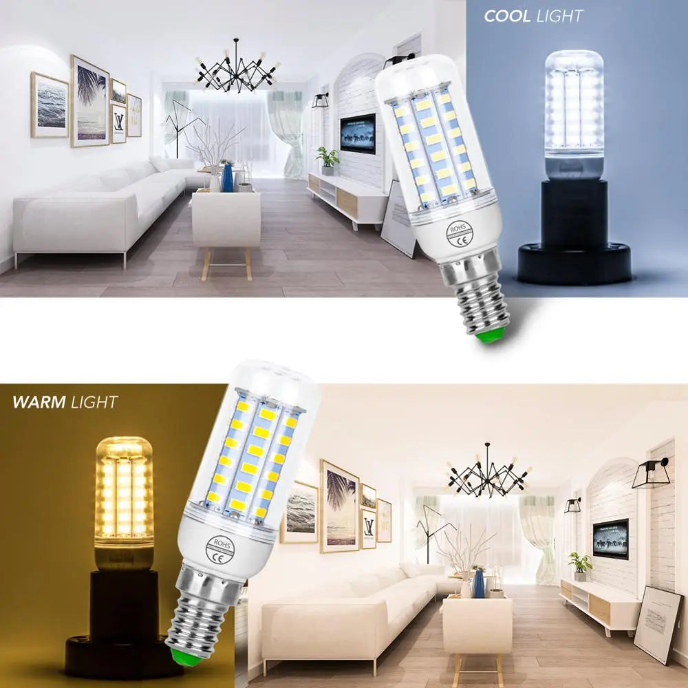 Lot de 4 Ampoules 72LED 5000h Super longue durée - Nouvelle génération