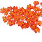 Guirlande lumineuse automnale - 2M, 3M ou 6M