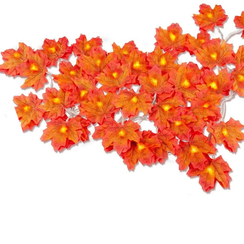 Guirlande lumineuse automnale - 2M, 3M ou 6M