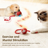 Balle Magique et Interactive Chien et Chat - 1 Acheté = 1 OFFERTE