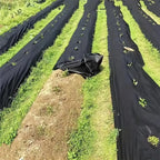 Kit de Toile Anti-Mauvaises Herbes Perforée – Tissu de Paillage pour Jardin, Potager et Aménagement Paysager
