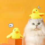 Poussin remuant - Jouet intéractif rechargeable pour Chat
