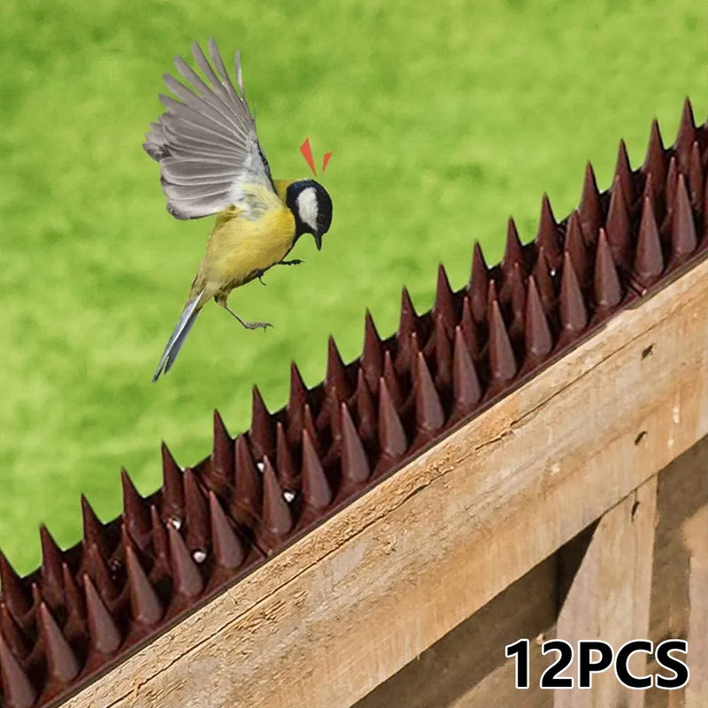 Pointes Barrière Anti-Oiseaux Ultra-Efficace - 12PCS
