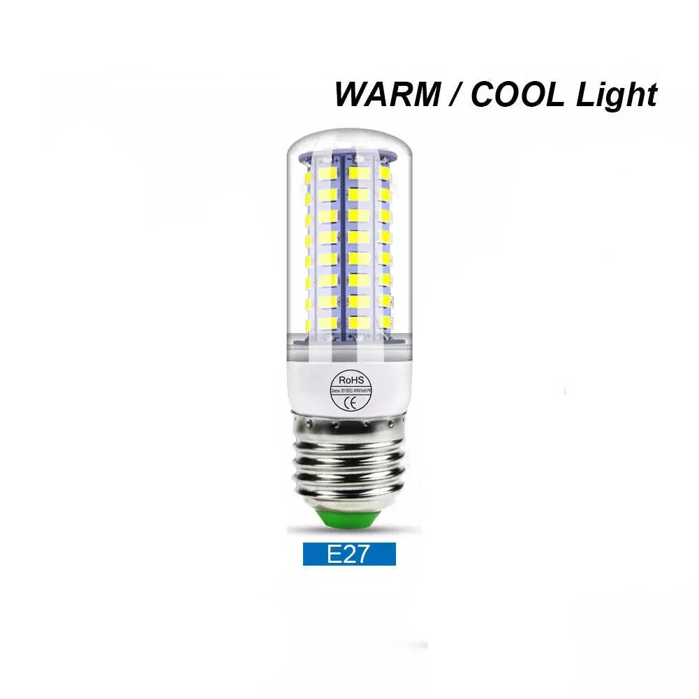 Lot de 4 Ampoules 72LED 5000h Super longue durée - Nouvelle génération
