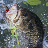 Calendrier de l'Avent pour les Amateurs de Pêche