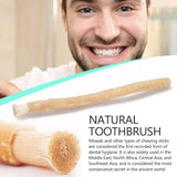 Brosse à dent organique et naturelle au Siwak