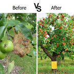 Ruban Anti-Insectes Auto-adhésif pour Arbres