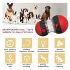Jouet interactif pour animaux de compagnie