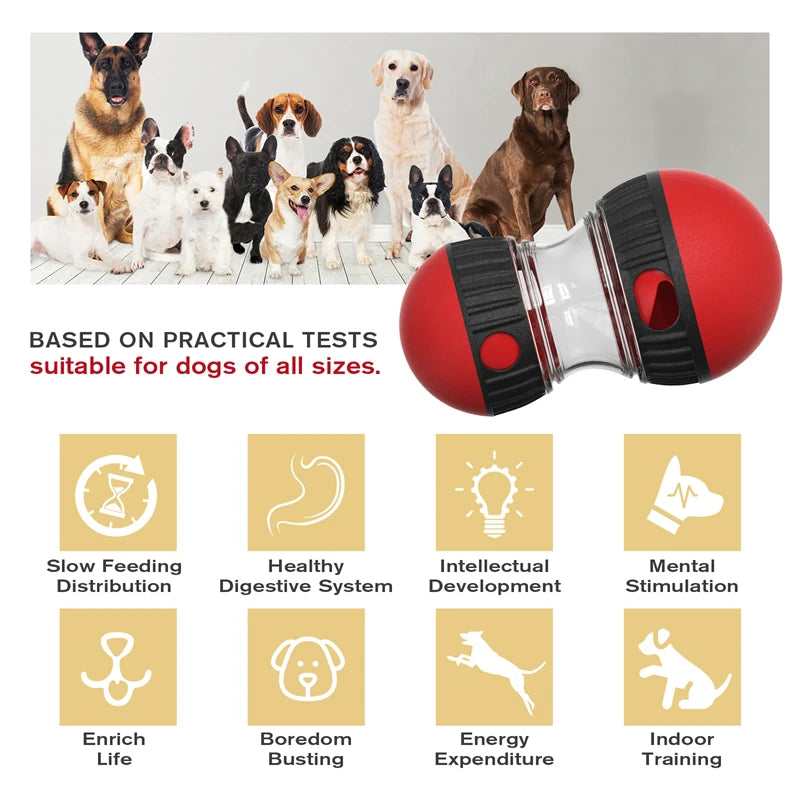 Jouet interactif pour animaux de compagnie