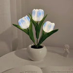 Lampe Tulipe Pot de fleur