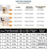 Peignoir Absorbant et à Séchage rapide pour Animaux