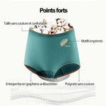 Lot de 3 Culottes Hautes en Coton Sans Coutures