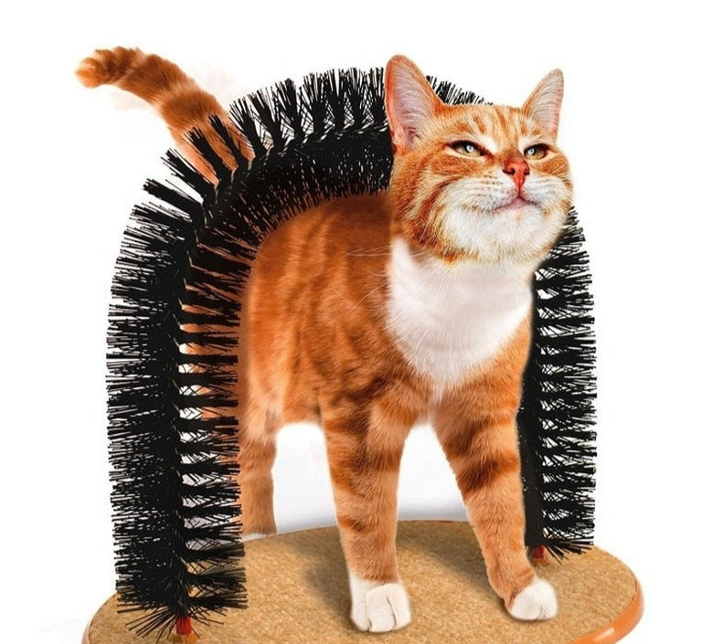 Arc Massant Chat