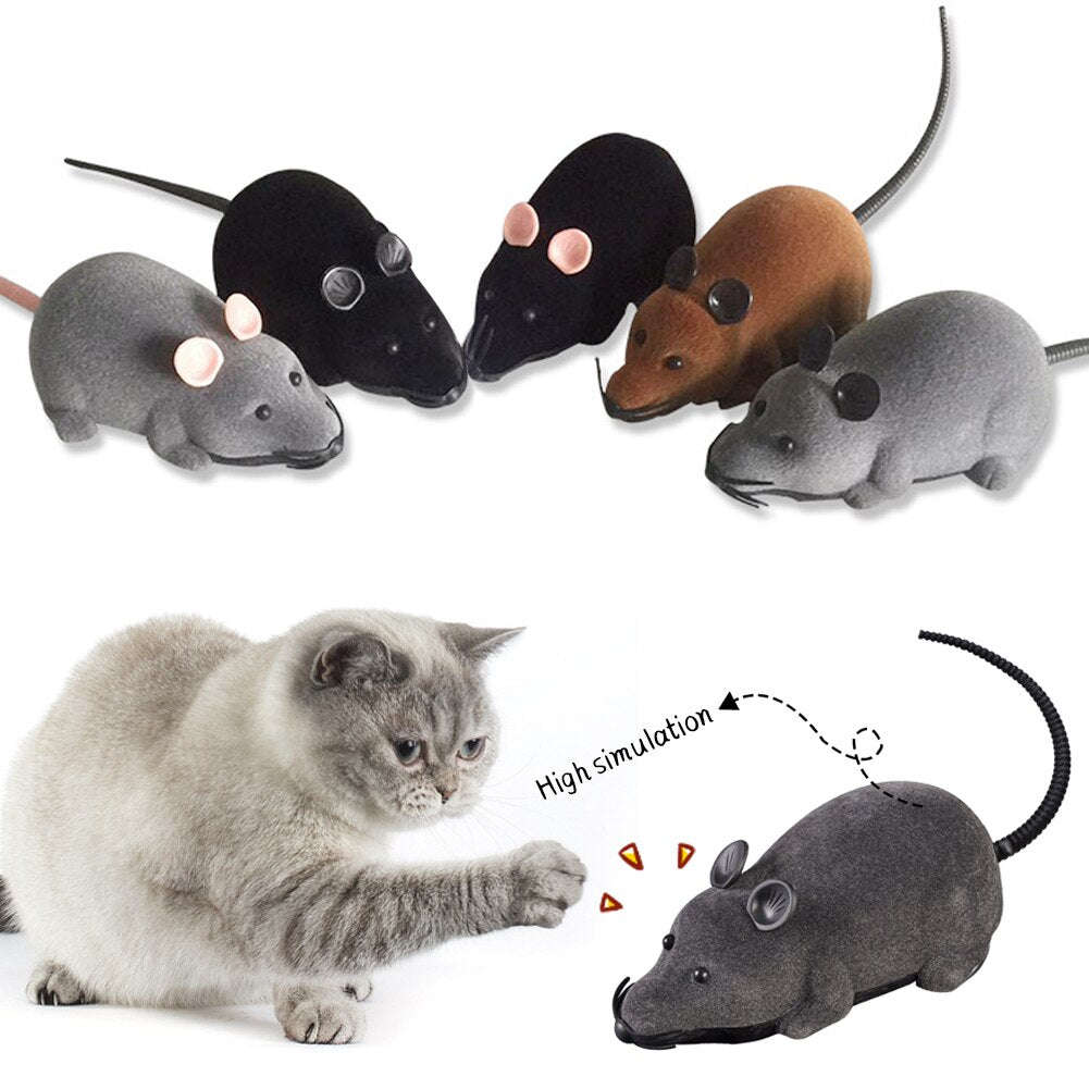 Souris télécommandée pour chats
