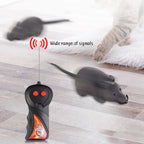Souris télécommandée pour chats