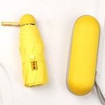 Parapluie + Pochette Étanche