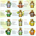 Diffuseur d'Huiles essentielles Aromathérapie